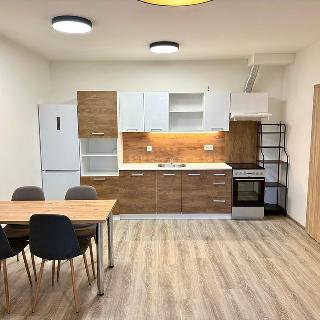 Pronájem bytu 2+kk 52 m² Jince, Zborovská