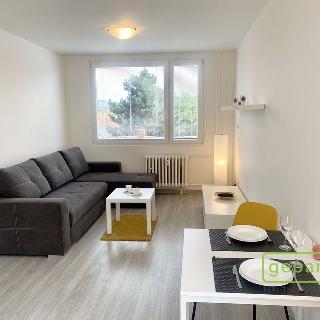 Pronájem bytu 2+kk 45 m² Tmaň, Nové sídliště