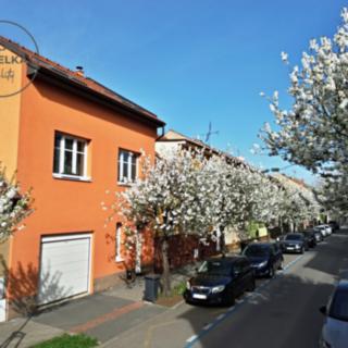Prodej rodinného domu 178 m² Brno