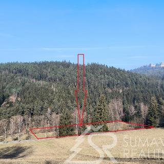 Prodej zahrady 16 343 m² Kašperské Hory