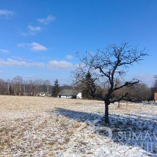 Prodej stavební parcely 27 430 m² Stachy, Říhov