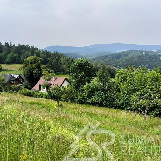 Prodej stavební parcely 1 281 m² Dlouhá Ves