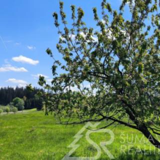 Prodej zahrady 3552 m² Strašín