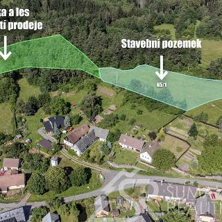 Prodej stavební parcely 43 426 m² Kolinec