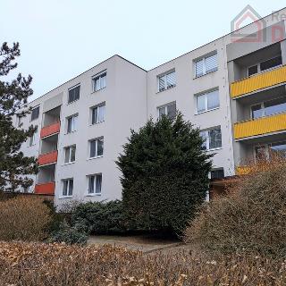 Prodej bytu 3+1 76 m² Mladá Boleslav, Na Radouči