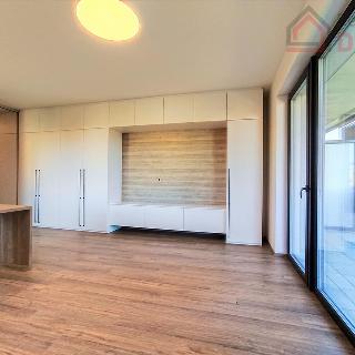 Pronájem bytu 1+kk a garsoniéry 42 m² Mladá Boleslav, Vondřichova