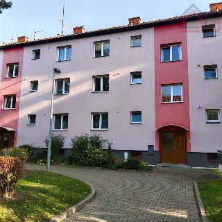 Pronájem bytu 2+1 55 m² Benátky nad Jizerou, náměstí 17. listopadu