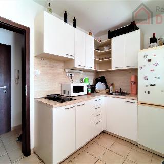 Pronájem bytu 1+kk a garsoniéry 28 m² Mladá Boleslav, Pražská brána