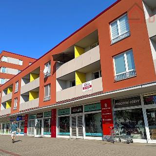 Prodej bytu 1+kk a garsoniéry 35 m² Mladá Boleslav, U Kasáren