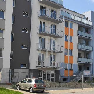 Pronájem bytu 4+kk 96 m² České Budějovice, Plukovníka Malého