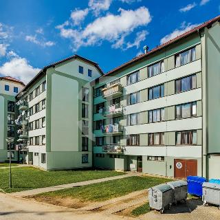 Prodej bytu 3+1 65 m² Malonty