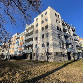 Pronájem bytu 4+kk 96 m² České Budějovice, Plukovníka Malého