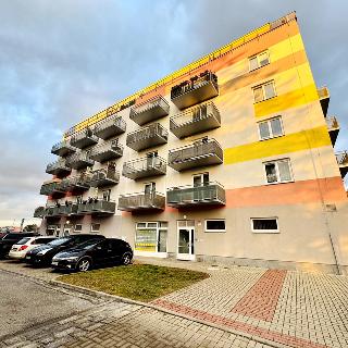 Prodej bytu 3+kk 83 m² České Budějovice, Husova tř.