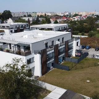 Prodej bytu 4+kk 152 m² Olomouc, Věry Pánkové