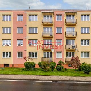 Prodej bytu 1+kk a garsoniéry 25 m² Rumburk, Náměstí Dobrovského