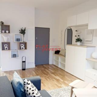 Pronájem bytu 1+kk a garsoniéry 39 m² Praha Karlín, Vítkova