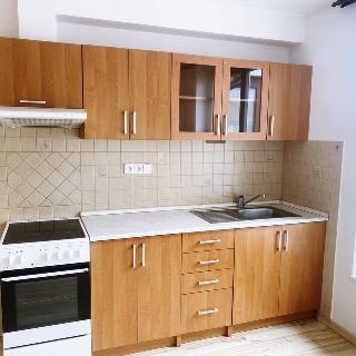 Prodej bytu 2+kk 39 m² Vodňany, Mokrého