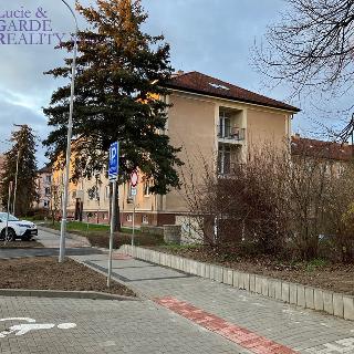 Pronájem bytu 1+1 28 m² Sezimovo Ústí, Lipová