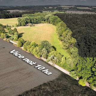 Prodej zemědělského objektu 600 m² Kamenný Újezd, Plavnice