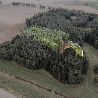 Prodej lesa 7 816 m² Hradec nad Svitavou