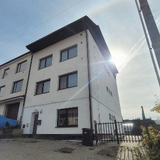 Pronájem bytu 3+1 73 m² Brno, Nivky