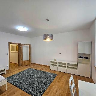 Pronájem bytu 1+1 57 m² Brno, Tyršova