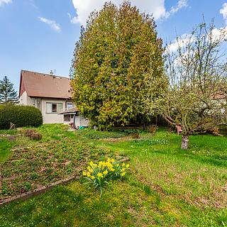 Prodej rodinného domu 195 m&sup2; Sirá