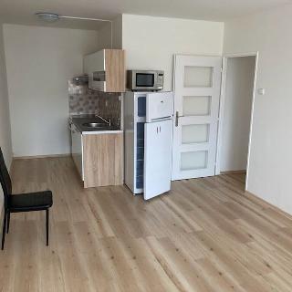 Pronájem bytu 2+kk 40 m² Žatec, Písečná