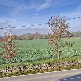 Prodej stavební parcely 9708 m&sup2; Záhoří