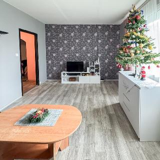 Prodej bytu 3+1 74 m² Teplice, Přítkovská