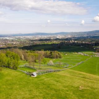 Prodej ostatních pozemků 1459 m&sup2; Dlouhý Most