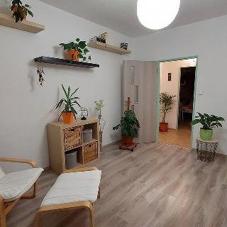 Prodej bytu 3+1 73 m² Praha, Senohrabská