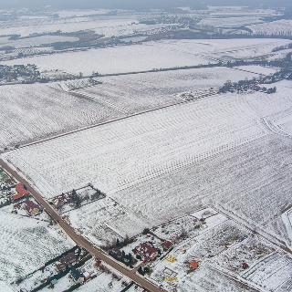 Prodej zemědělské půdy 22 365 m² Holín, 