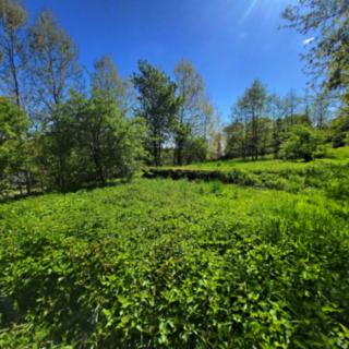 Prodej stavební parcely 337 m² Trutnov, 