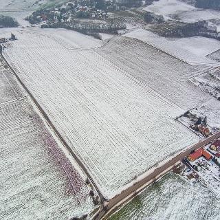 Prodej zemědělské půdy 22 365 m² Holín, 