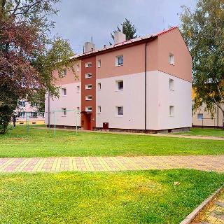 Prodej bytu 2+1 50 m² Podbořany, Velká osada