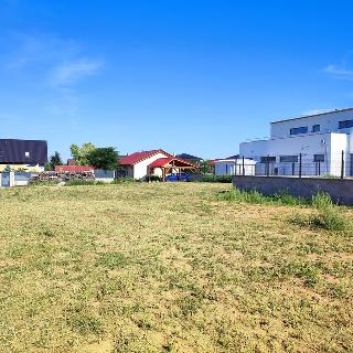 Prodej stavební parcely 1 551 m² Křenice, Trnková