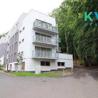 Pronájem bytu 3+kk 108 m² Karlovy Vary, Šumavská