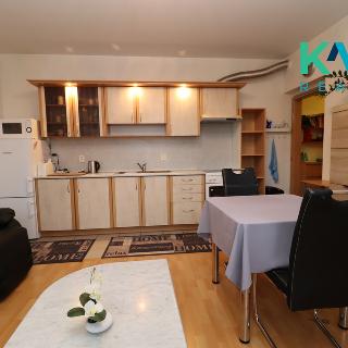 Pronájem bytu 2+kk 55 m² Karlovy Vary, Kryzánkova