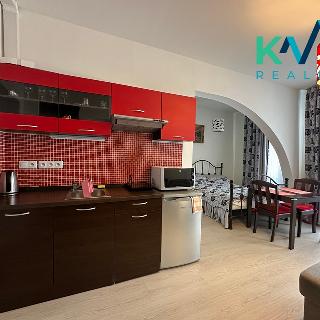 Pronájem bytu 1+kk a garsoniéry 30 m² Karlovy Vary, Kolmá