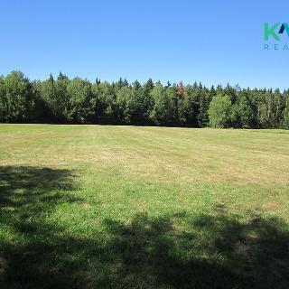 Prodej louky 7 718 m² Nejdek, 