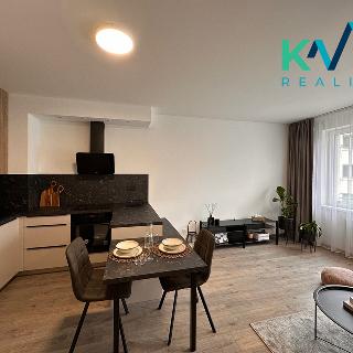 Pronájem bytu 2+kk 40 m² Ostrov, Lidická