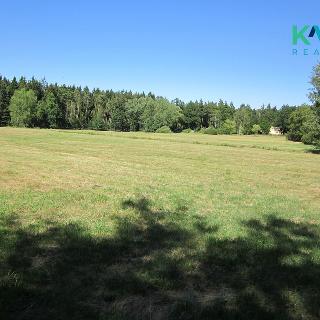 Prodej louky 12 837 m² Pernink, 