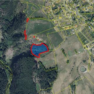 Prodej lesa 8 922 m² Kolová