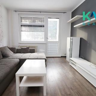 Pronájem bytu 3+1 65 m² Nejdek