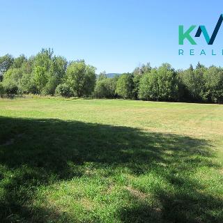 Prodej louky 1 903 m² Šindelová, 