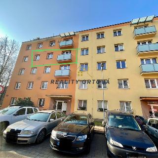 Pronájem bytu 2+1 52 m² Turnov, Květinová