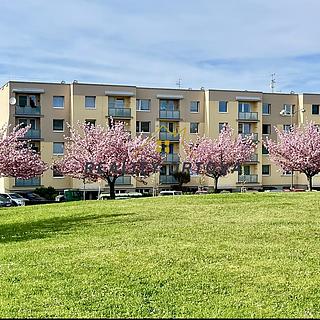 Pronájem bytu 1+1 39 m&sup2; Turnov