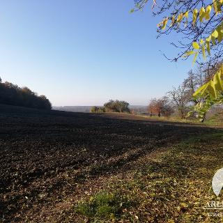 Prodej zemědělské půdy 8 947 m² Dušníky, 