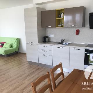 Pronájem bytu 2+kk 50 m² Praha, Babická